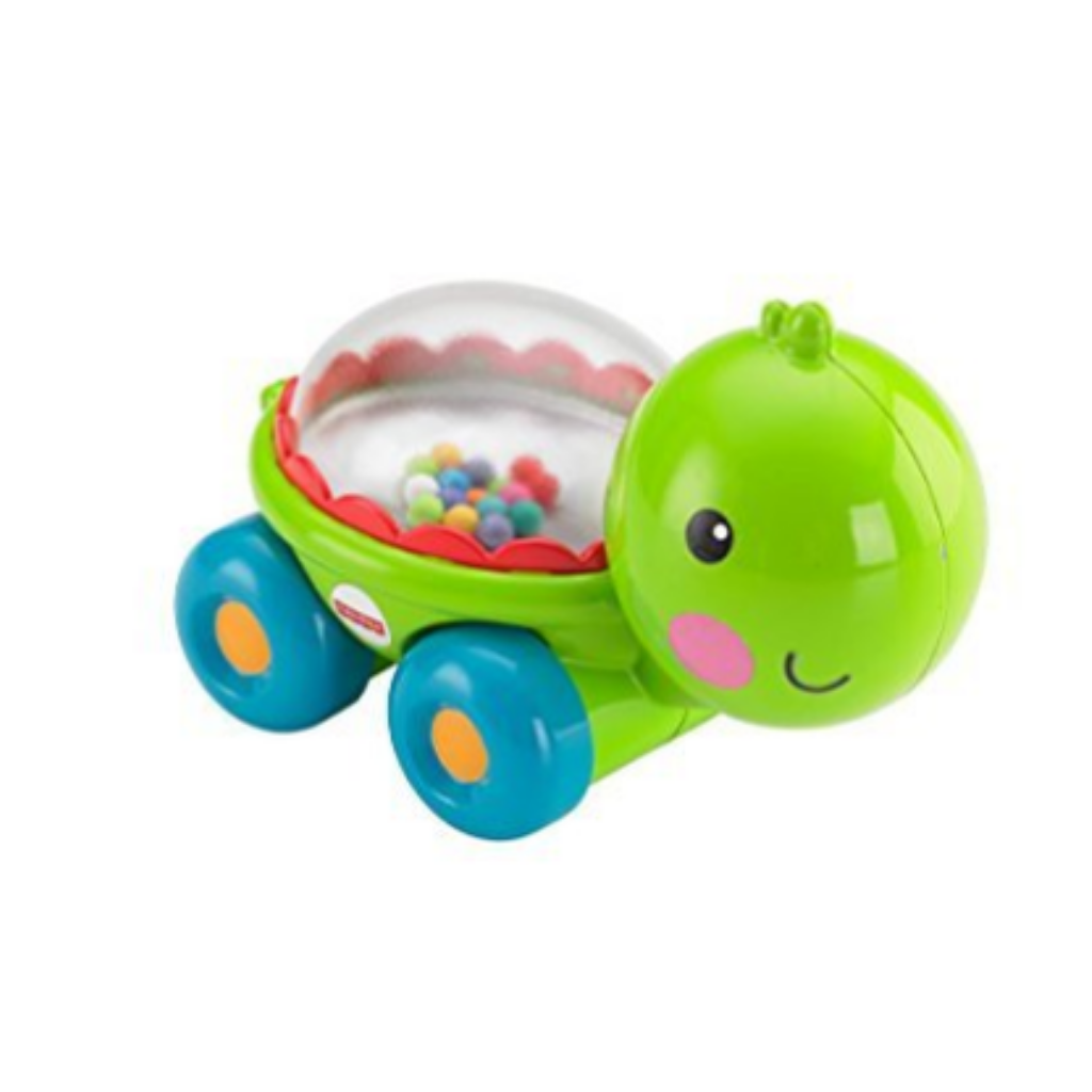 FISHER PRINCE TURTLE,                DESARROLLO,MOTRICIDAD