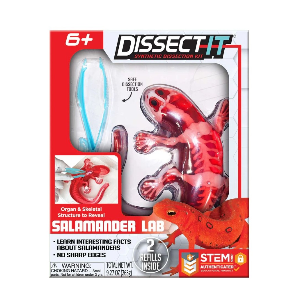 TOP SECRET TOYS SALAMANDER LAB